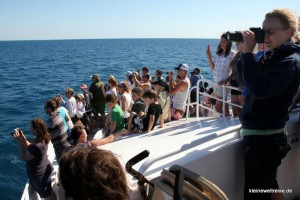 alle auf einer Seite