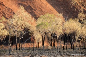 am Base Walk am Base Walk