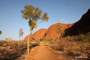 auf dem Base Walk auf dem Base Walk