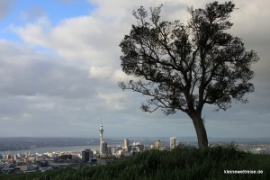 Sicht vom Mount Eden