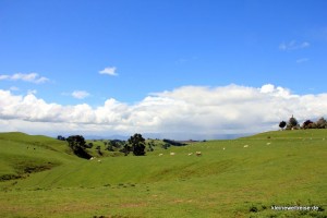das Auenland (die Alexander-Farm)