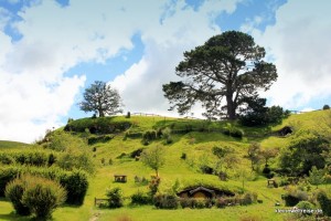 Hobbiton im Hügel
