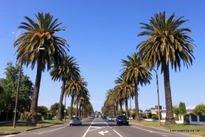 Palmen und tolles Wetter