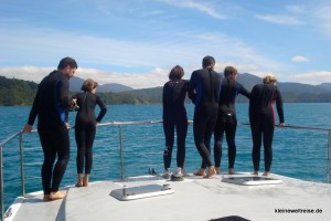 Wir sind fasziniert Wir sind fasziniert