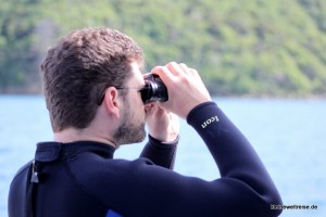 Ausschau halten nach Delphinen Ausschau halten nach Delphinen