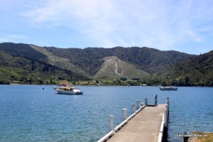 Es geht los, Bucht kurz hinter Picton