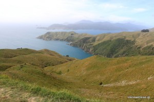 Aussicht am French Pass 2