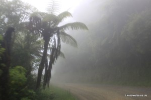 An der matshcigen Schotterstraße