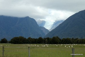 der Fox Gletscher