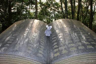 Fanta und das große Buch