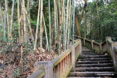 Treppe durch den Bambus
