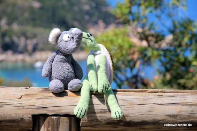 ein schönes Paar: Fanta mit Schildi Magnetic Island ein schönes Paar: Fanta mit Schildi Magnetic Island