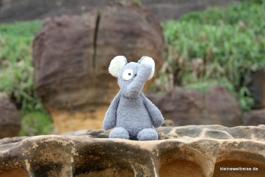 Fanta im Yehliu Geopark