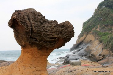 der Drachenkopf - wer erkennt ihn?