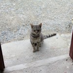 Wie Irland früher mal war