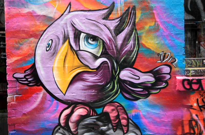 Angry Bird in der Hoisier Lane